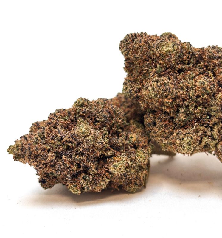 Fleur INDOOR HYDRO -JACK HERRER