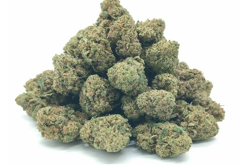 Fleur GREEN HOUSE – White widow