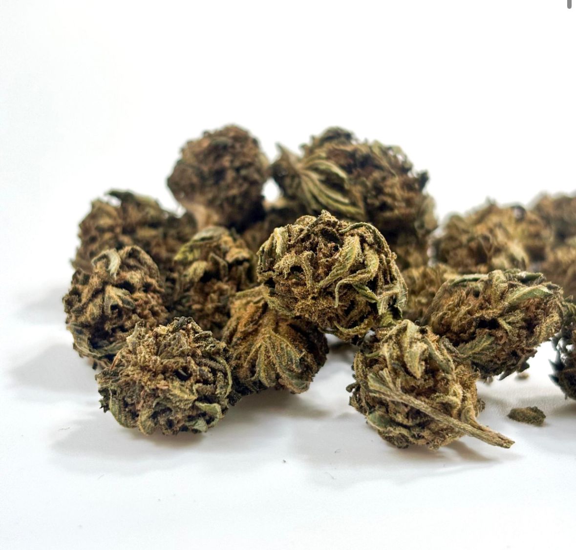 Fleur GREENHOUSE –Small Buds OG KUSH