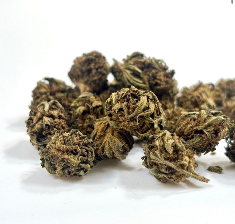 Fleur GREENHOUSE –Small Buds OG KUSH