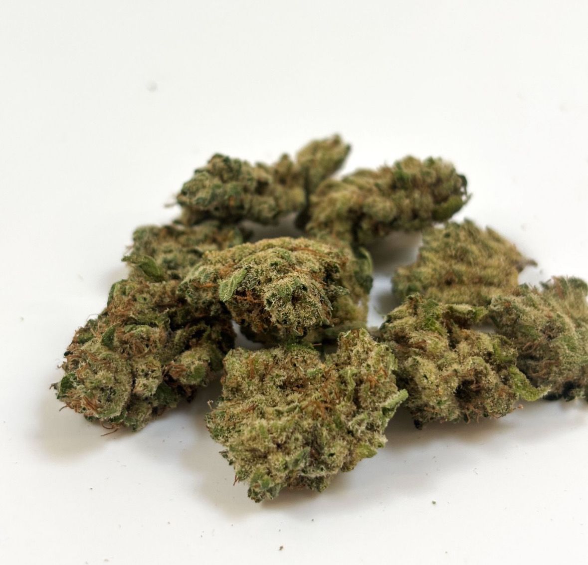 Fleur INDOOR PREMIUM - G13 HAZE