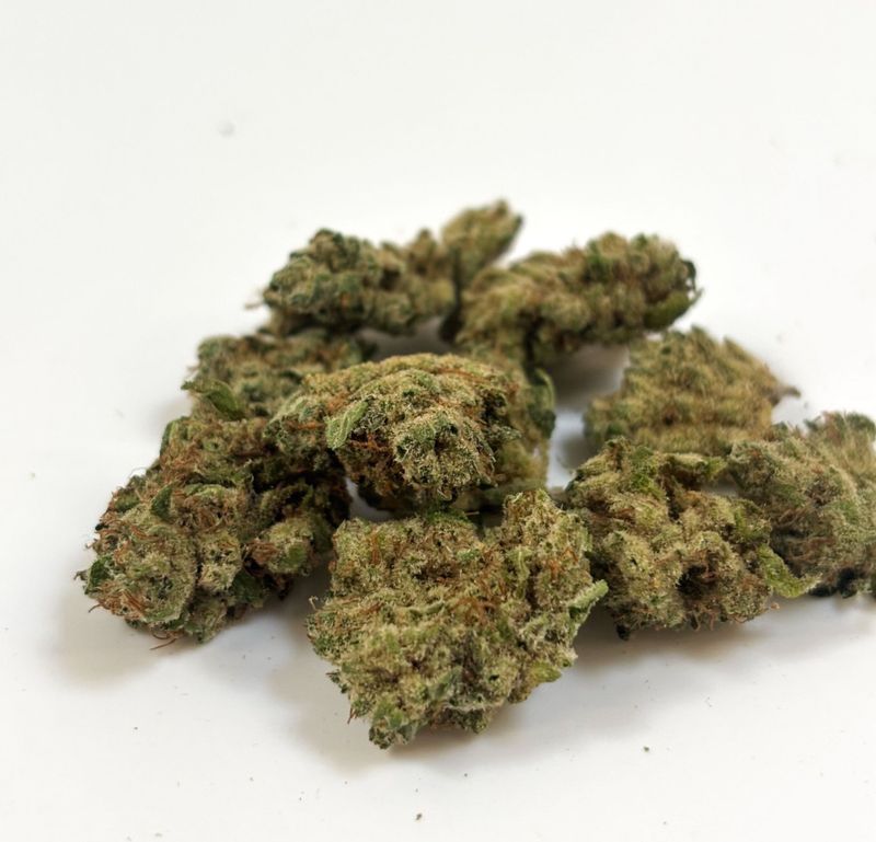 Fleur INDOOR PREMIUM - G13 HAZE