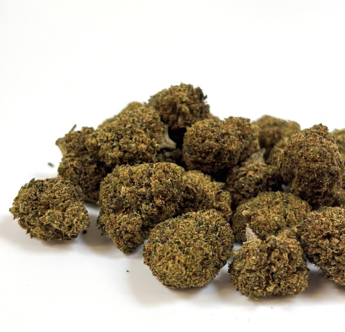 Fleur INDOOR HYDRO - Small Buds GREEN VELVET