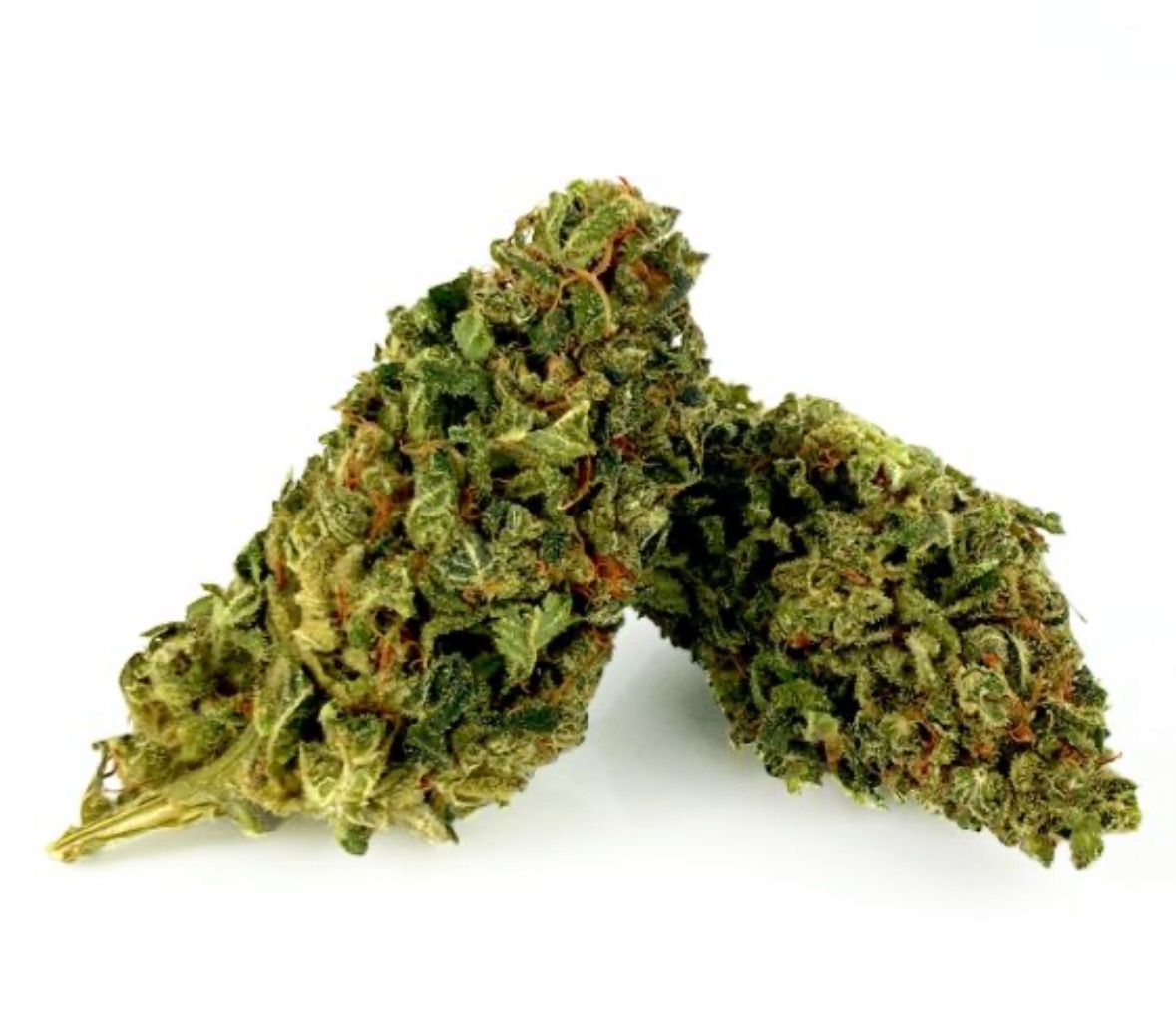 Fleur GLASSHOUSE PREMIUM – Blueberry