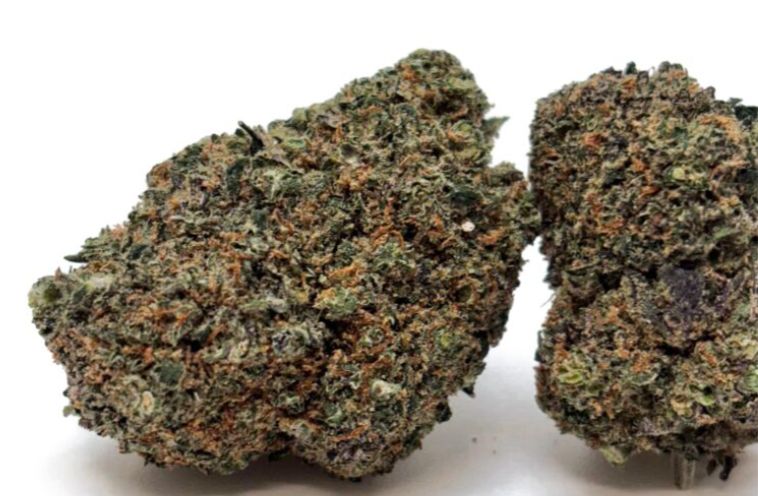 Fleur INDOOR HYDRO CALI - Gorilla Mandarina (ZKT)