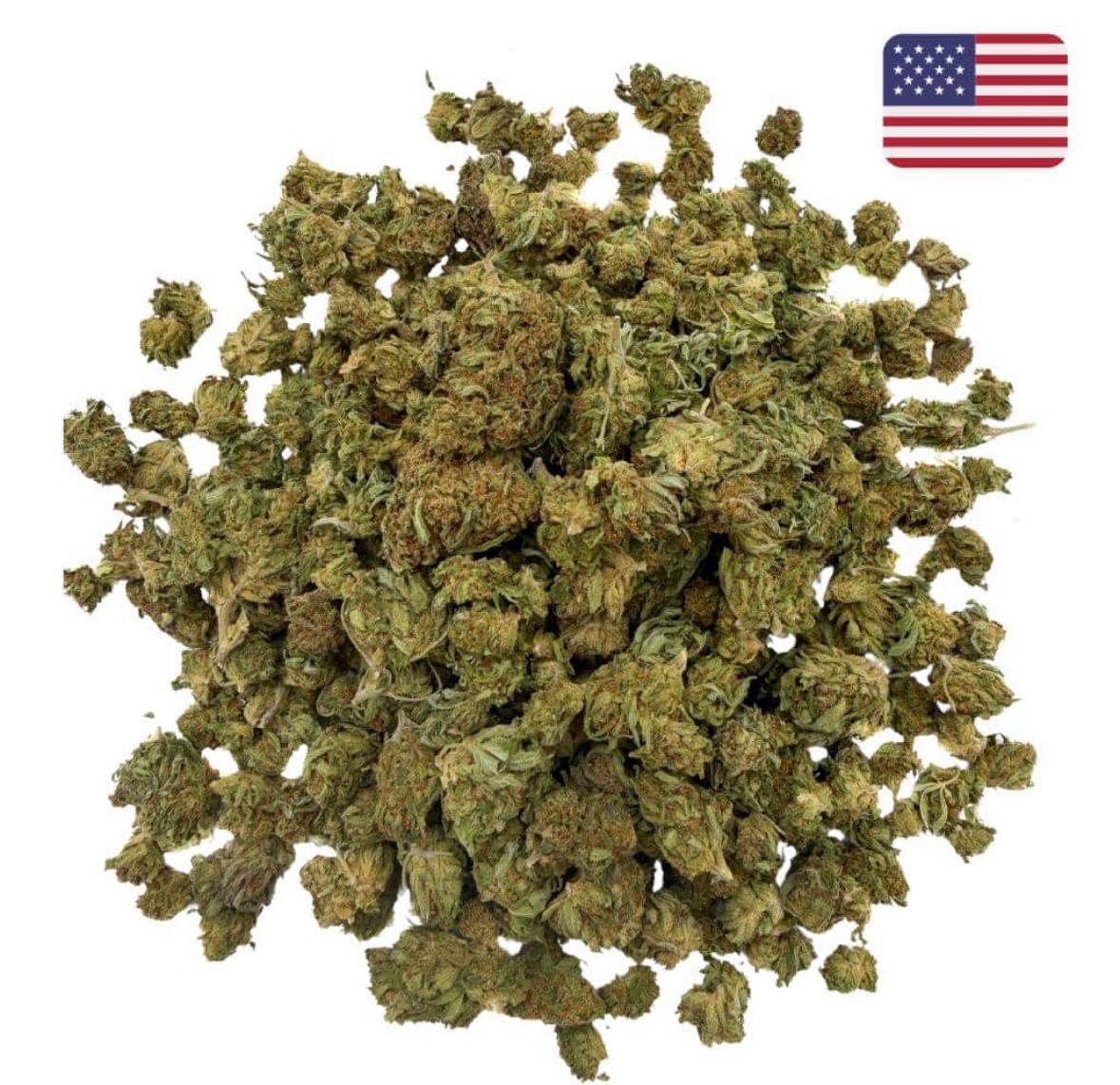 Fleur INDOOR PREMIEUM – Middle Buds Bruce Banner