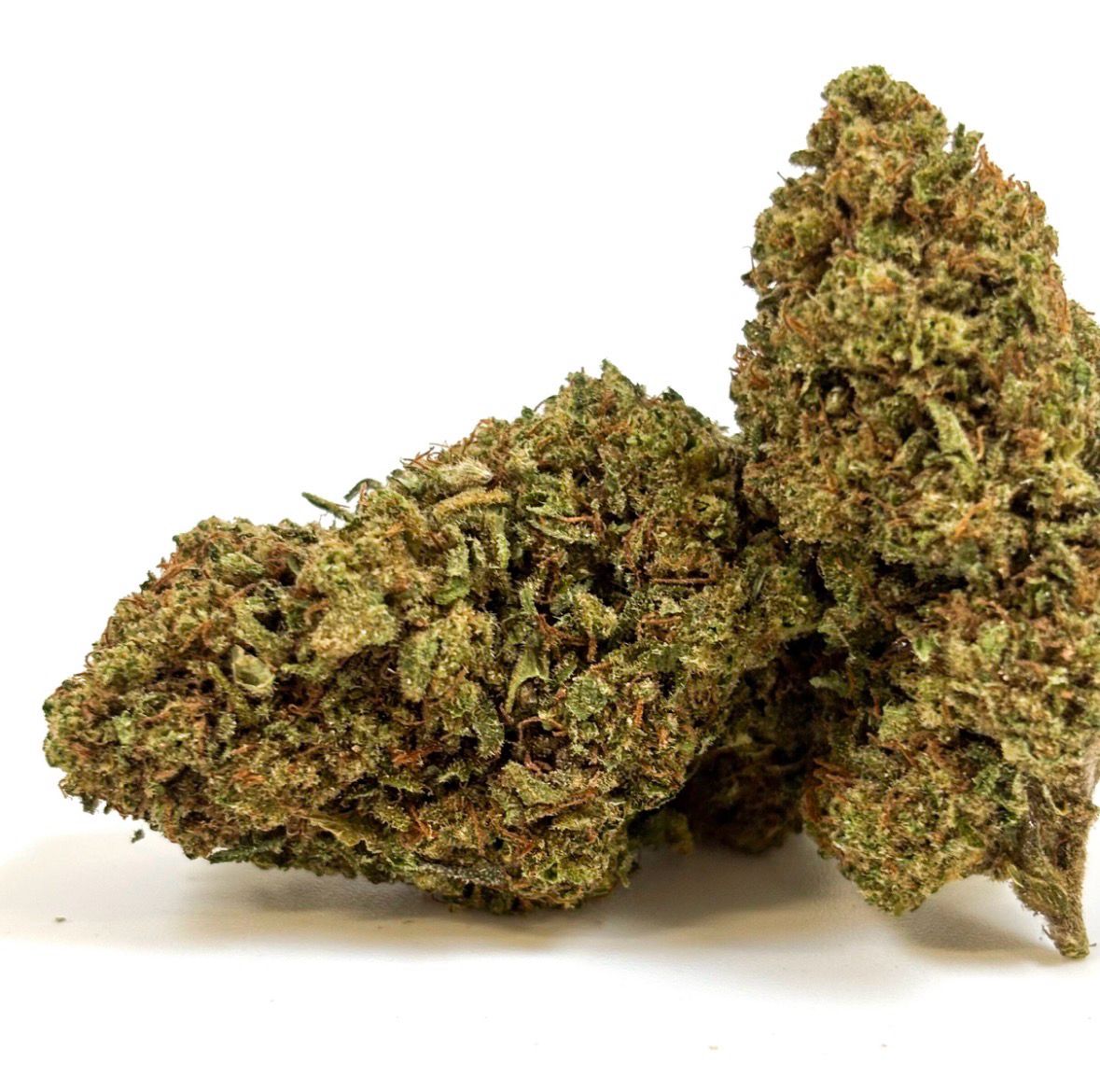 Fleur GLASSHOUSE - Tropical Haze