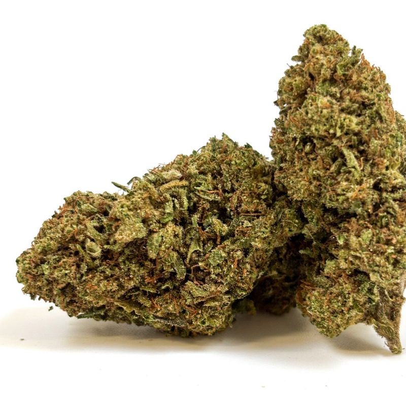 Fleur GLASSHOUSE - Tropical Haze