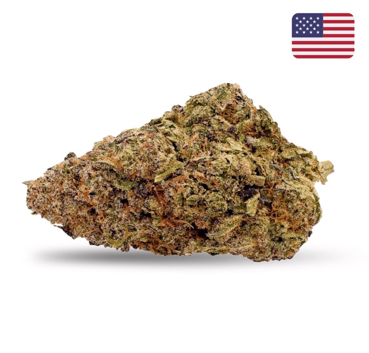 Fleur INDOOR CALI - BLACK RUNTZ
