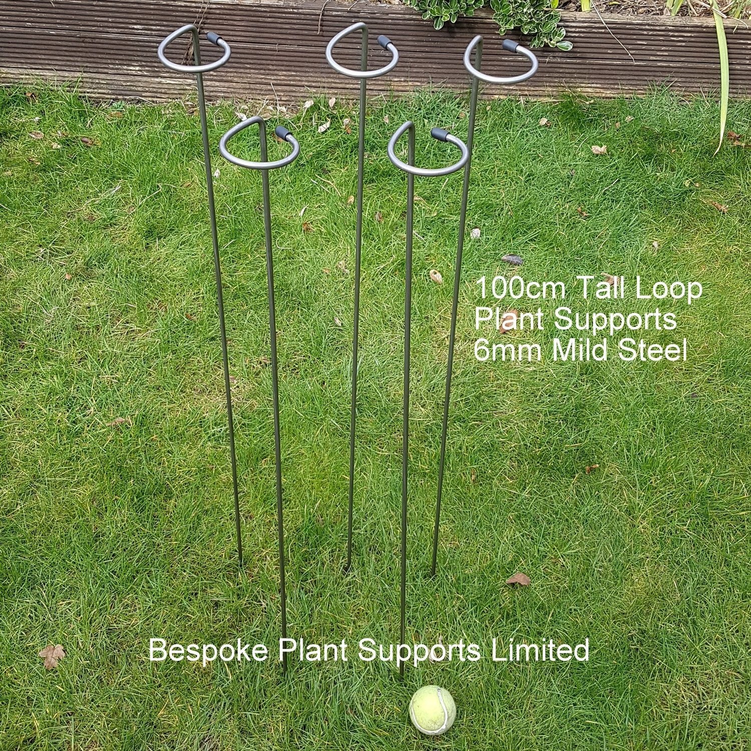 5 x Loop Supports 100cm tall 6mm mild steel