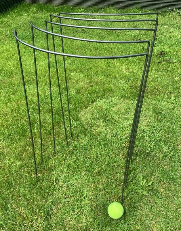 Extra Tall Curved Plant Supports Medium Width 75cm tall (29"). 5 pack
