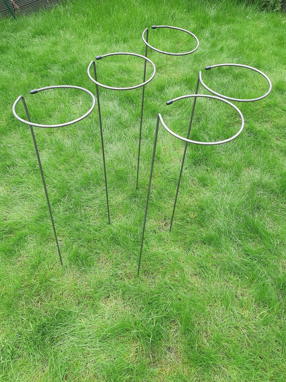 Wrap around style plant support 5 pack