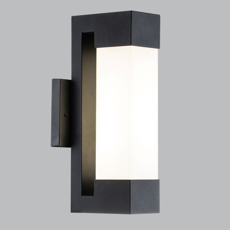 Metal and Glass Decorative Wall Light