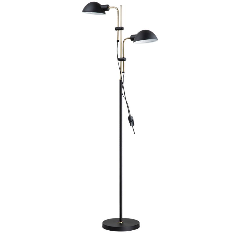 ​Metal Standing Lamp with Moveable Arms