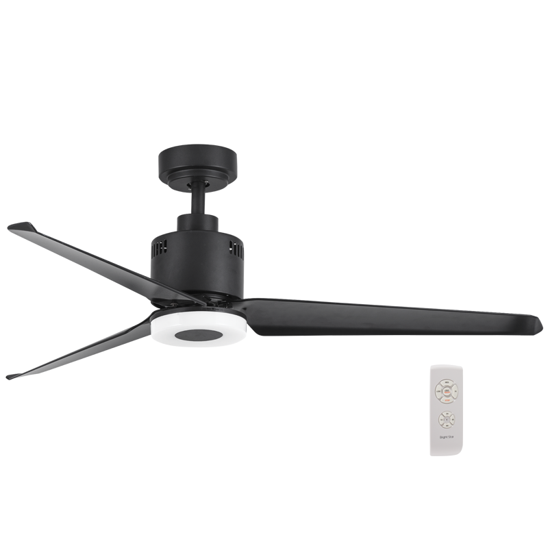 Matt Black Ceiling Fan with Light