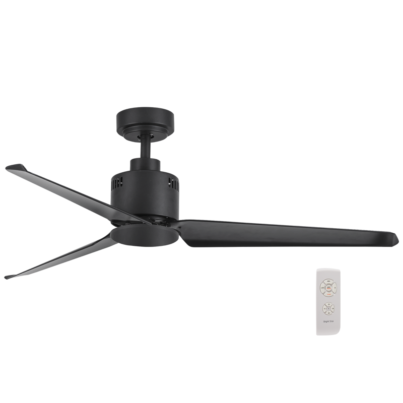 Matt Black Ceiling Fan