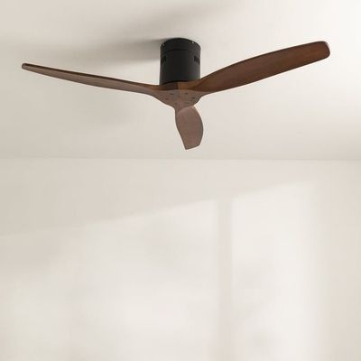 All Fans