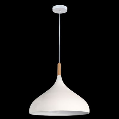 Modern Metal & Wood Pendant