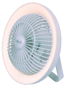 Mini Rechargeable White Fan with Light