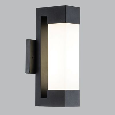 Metal and Glass Decorative Wall Light