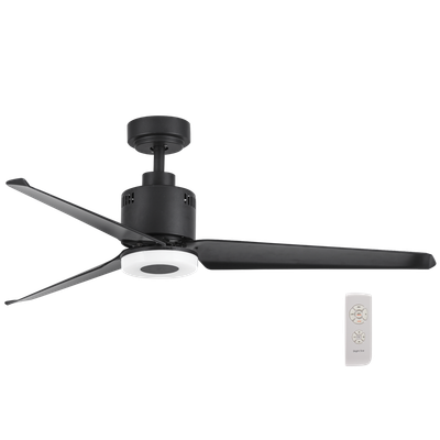 Matt Black Ceiling Fan with Light