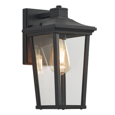 Decorative Metal and Clear Speckled Glass Wall Light