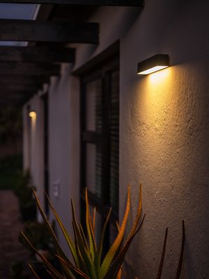 Outdoor Solar Wall Lights