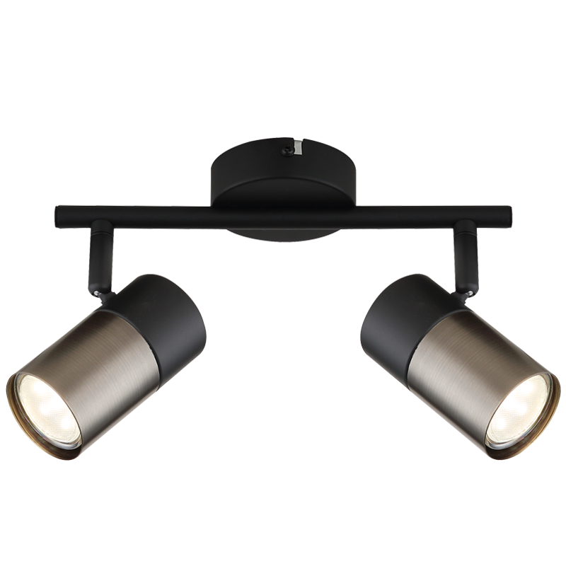 Matte Bronze Spotlight