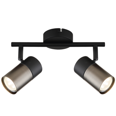 Matte Bronze Spotlight
