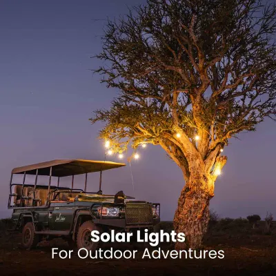 Festoon Bulb String Lights | Solar