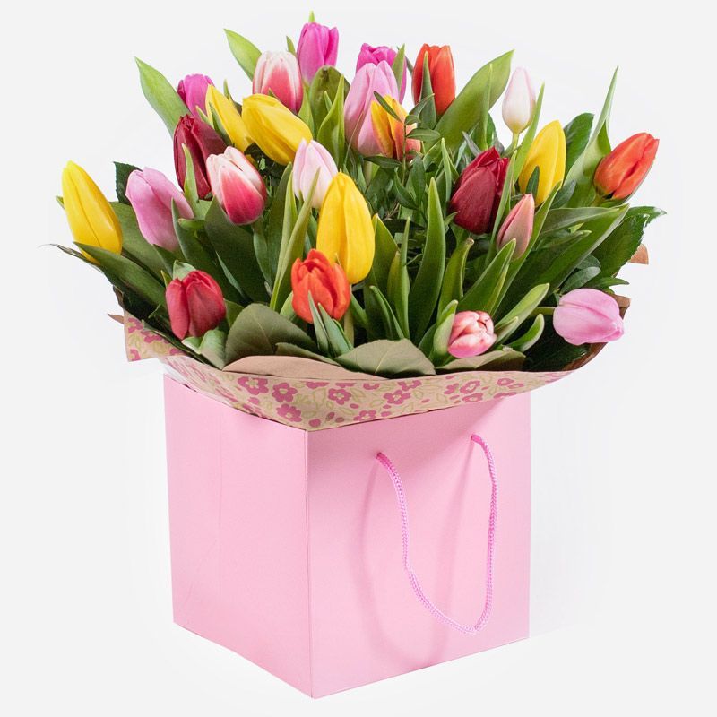 Tulips