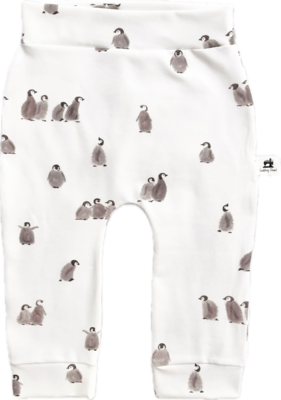 Broekje pinguïn