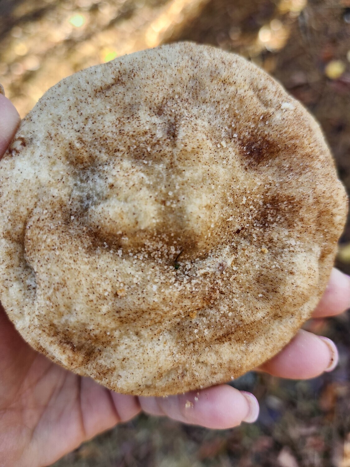 Cinnamon Churro Cookie