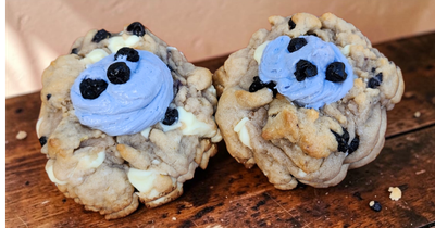 Blueberry Lemon bakery style cookie