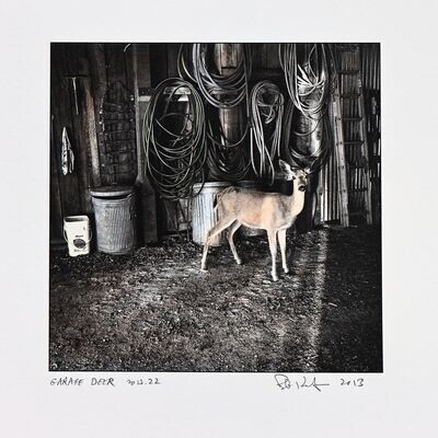 Garage Deer 2013.22