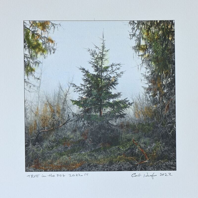 Tree in the Fog 2022.14