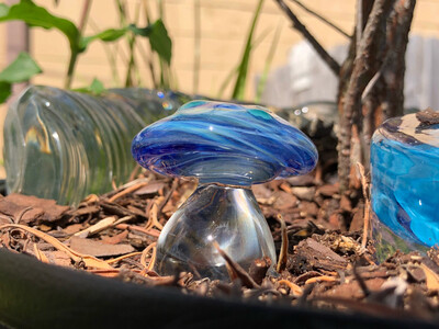 Mini Glass Garden Shroom