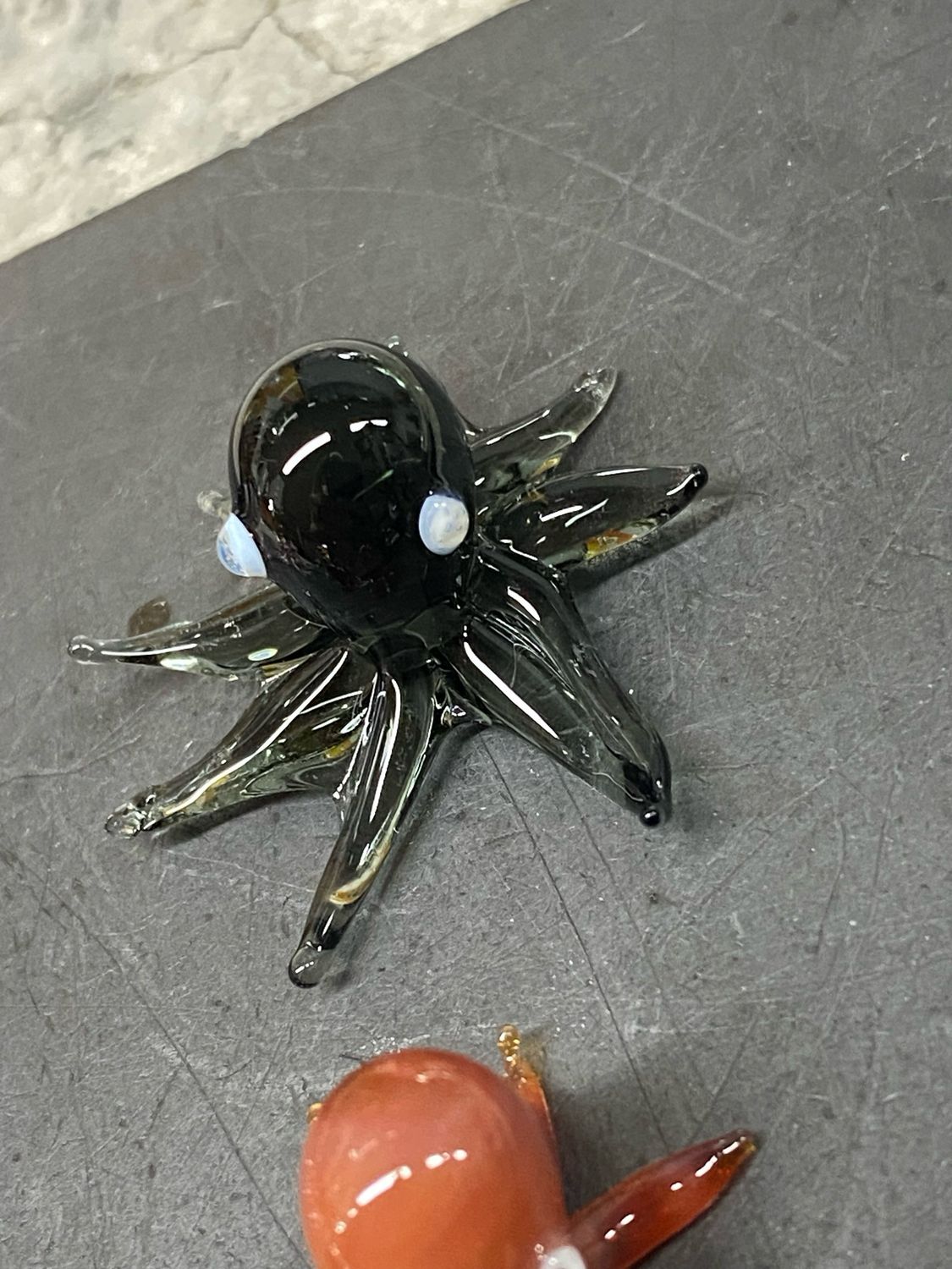 Baby Octopus Transparent Black