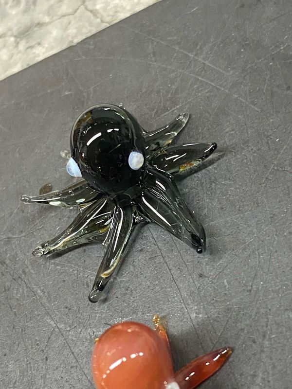 Baby Octopus Transparent Black