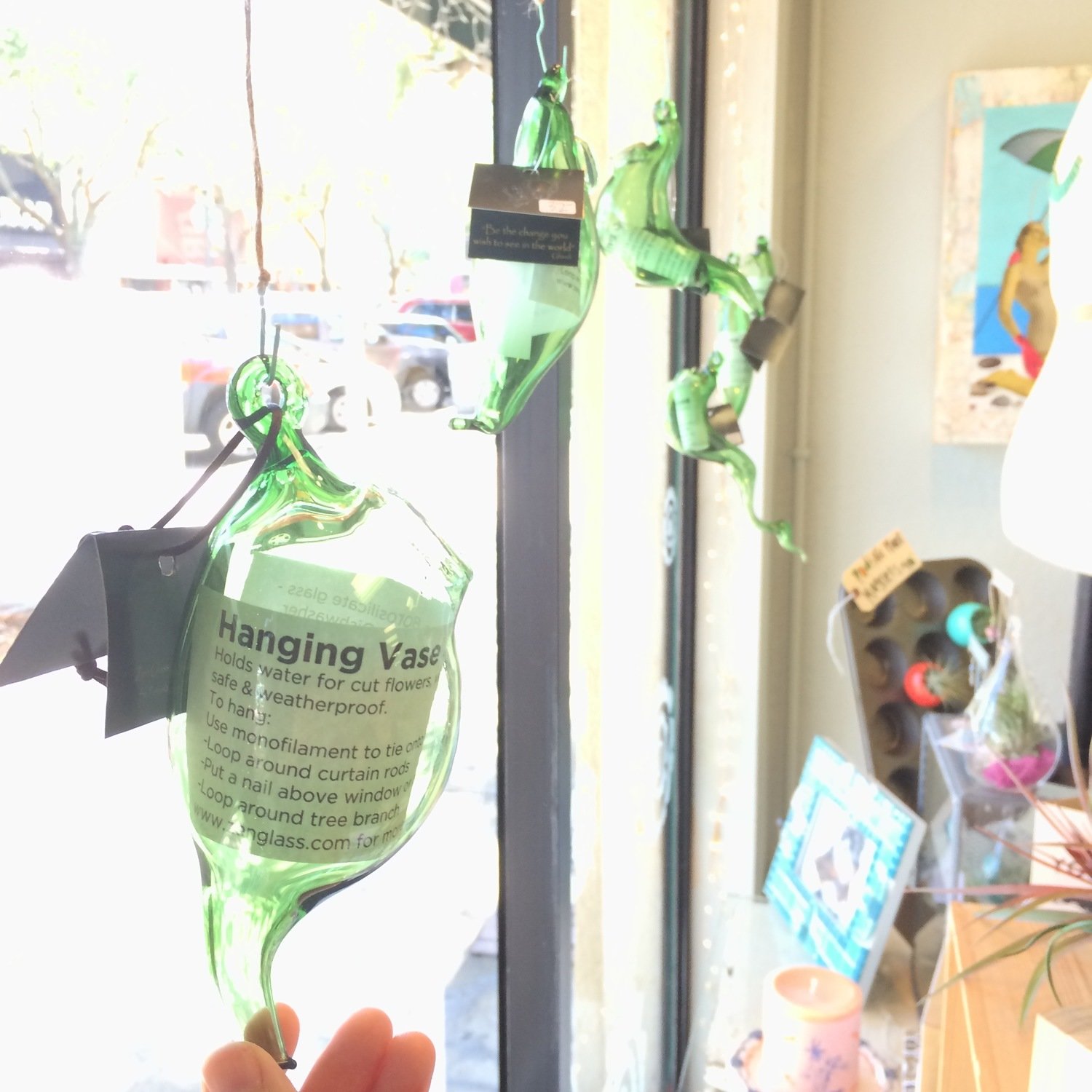 Hanging Vase