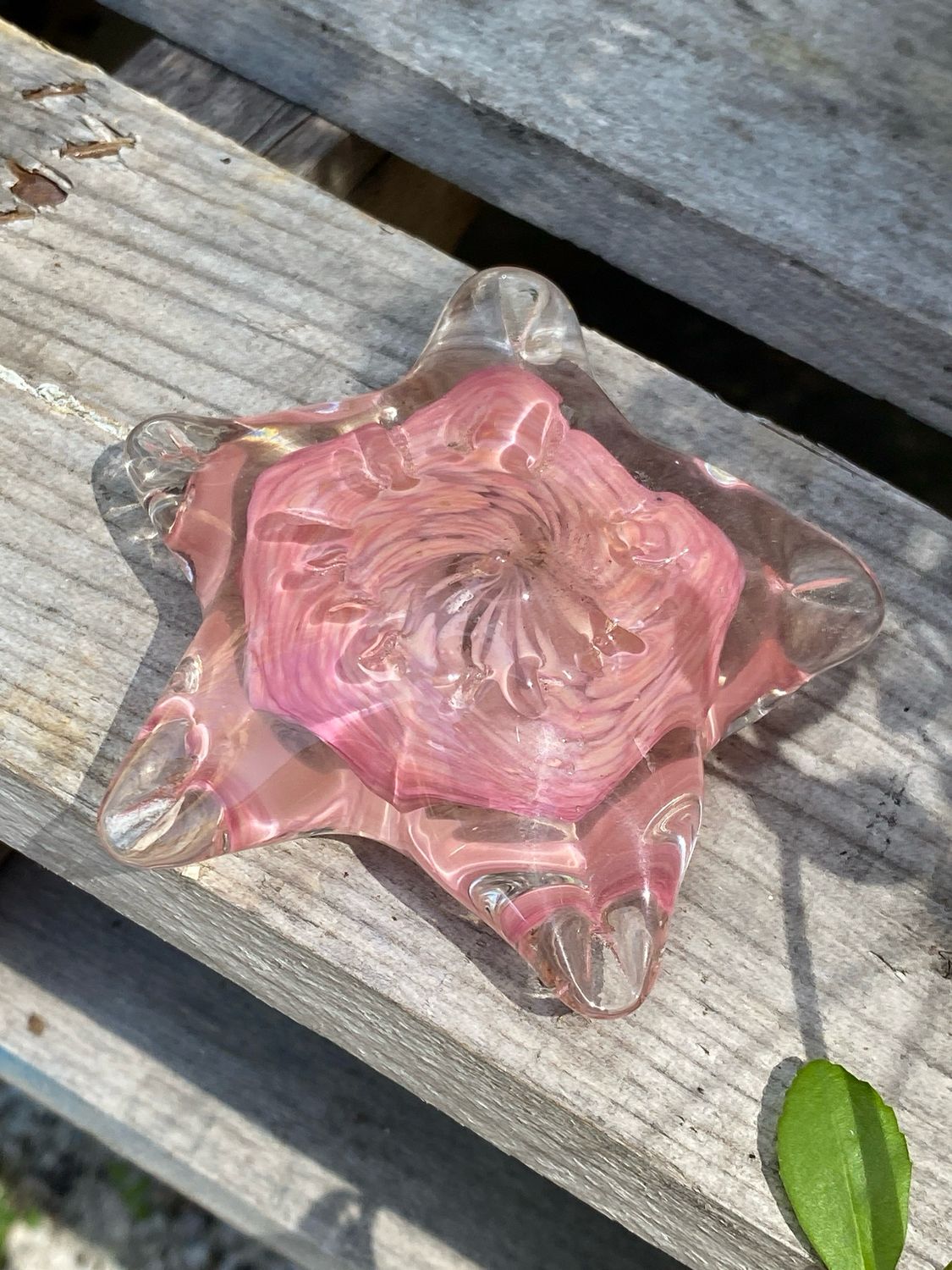 Starfish Pink Paperweight