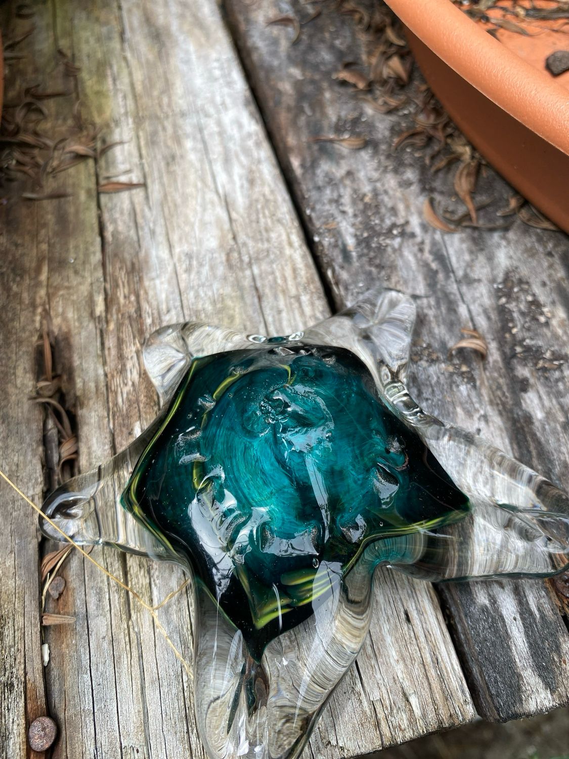Black And Teal Starfish Paperweight
