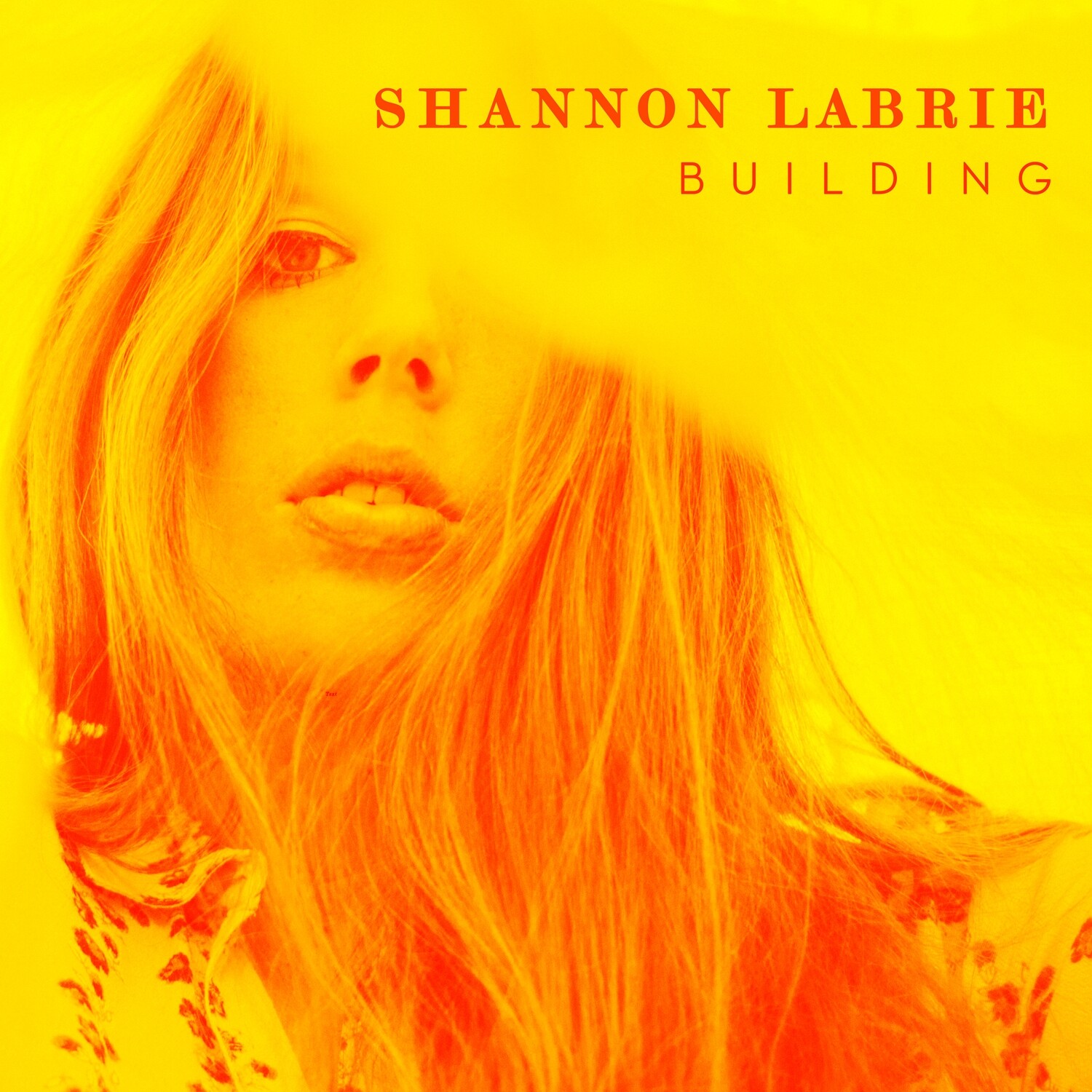 (CD) Building - Shannon LaBrie (Signed) (U.S. Only)