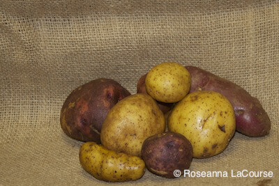 Potato Assortments