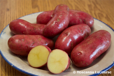 French Fingerling - Conventional