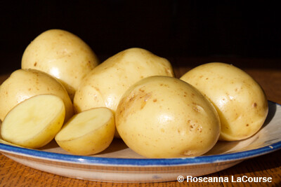 Golden Globe Seed Potatoes, Weight: 2.5 lbs.