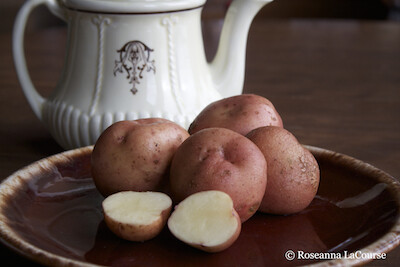 Red Gold Seed Potatoes