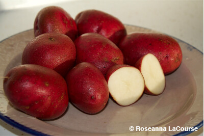 Sangre Seed Potatoes