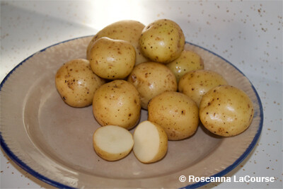 Upstate Abundance Seed Potatoes