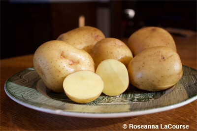 Yukon Gold Seed Potatoes, Weight: 2.5 lbs.